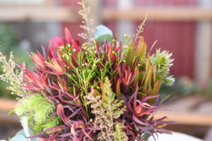 Mixed Fynbos